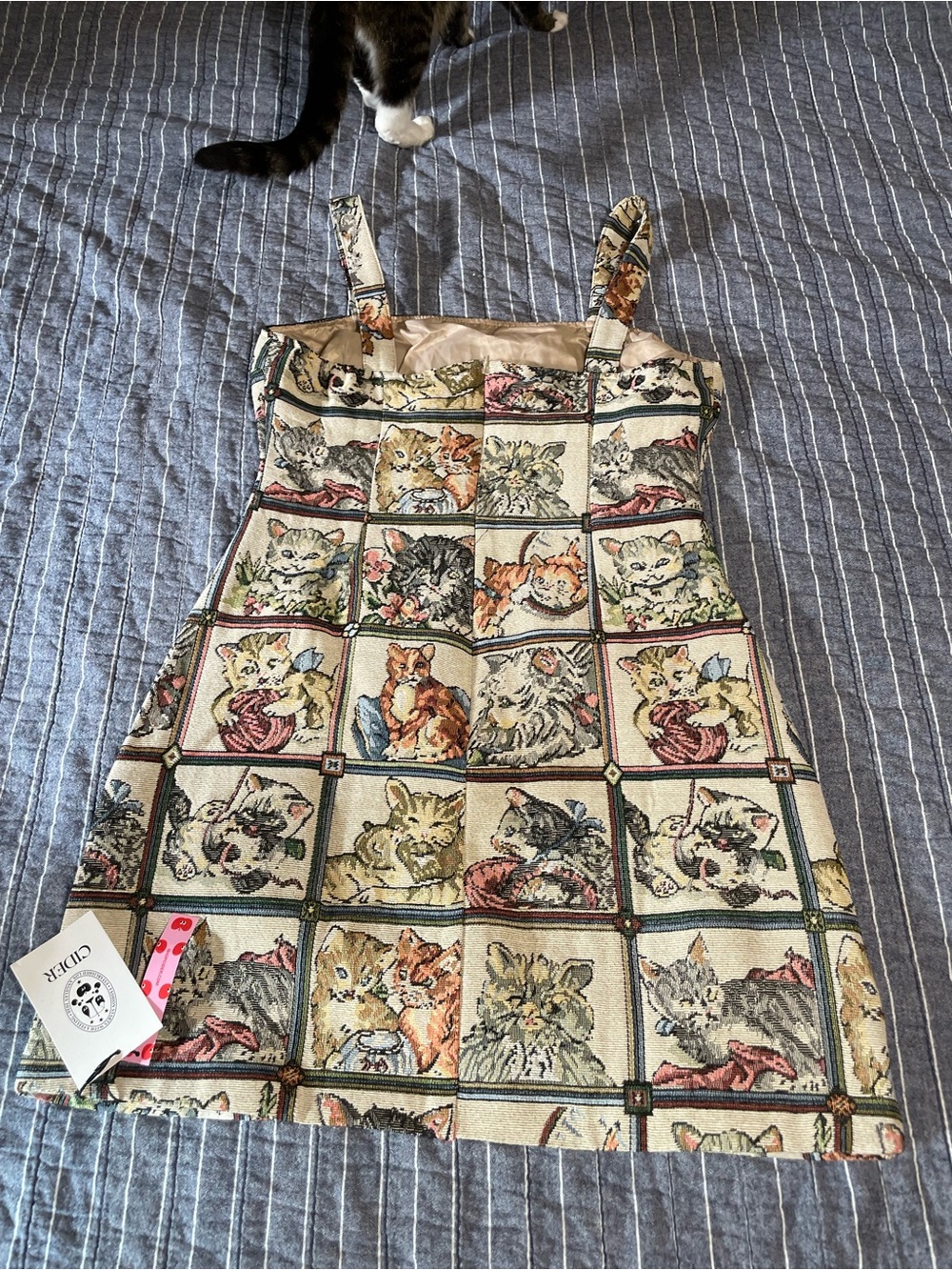 Cider Cream Sleeveless Mini Dress with Multicolor Cat Quilt Print NWT - Picture 6 of 10